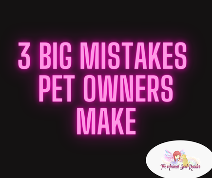 3 big mistakes pet owners make